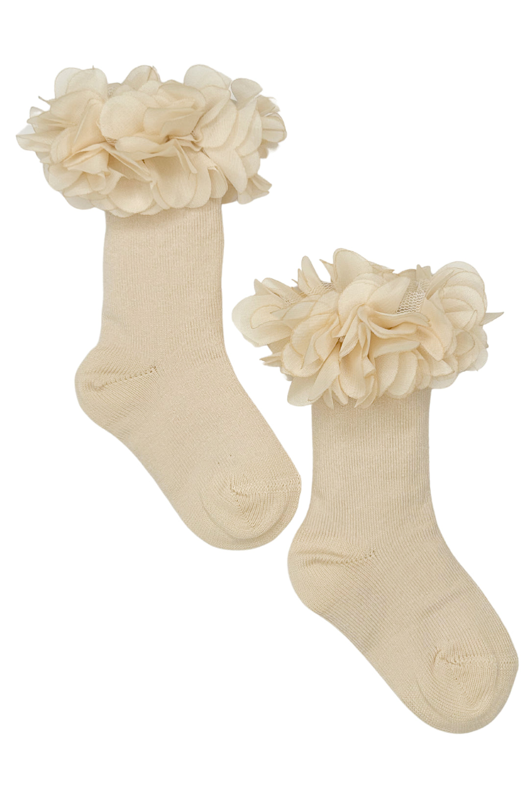 Meia Pata Champagne Floral Tutu Knee High Socks | Millie and John