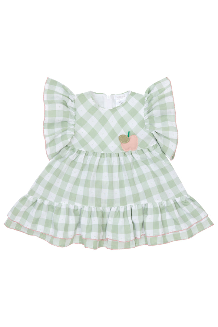 Deolinda "Rosie" Sage Green Gingham Dress | Millie and John