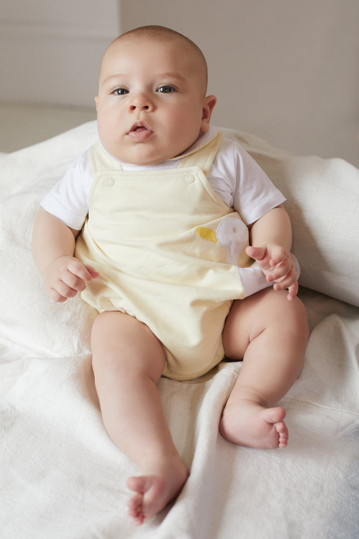 Deolinda "River" Lemon Duck Dungaree Romper Set | Millie and John