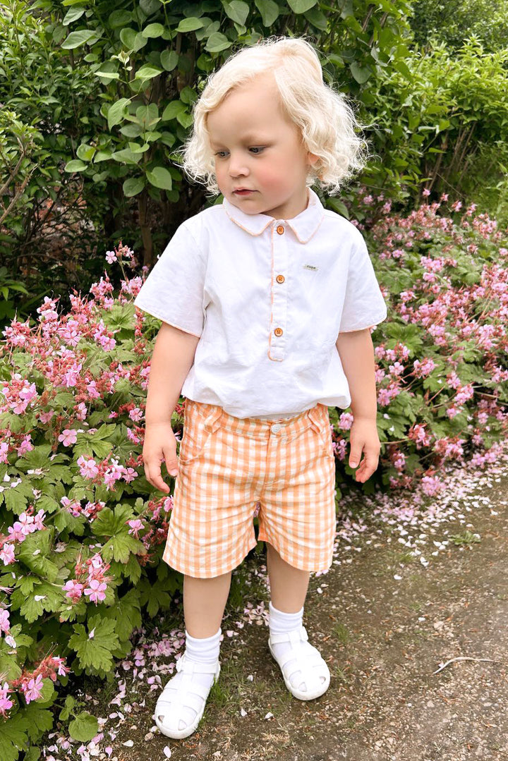 Foque "Lorencio" Peach Gingham Shirt & Shorts | Millie and John