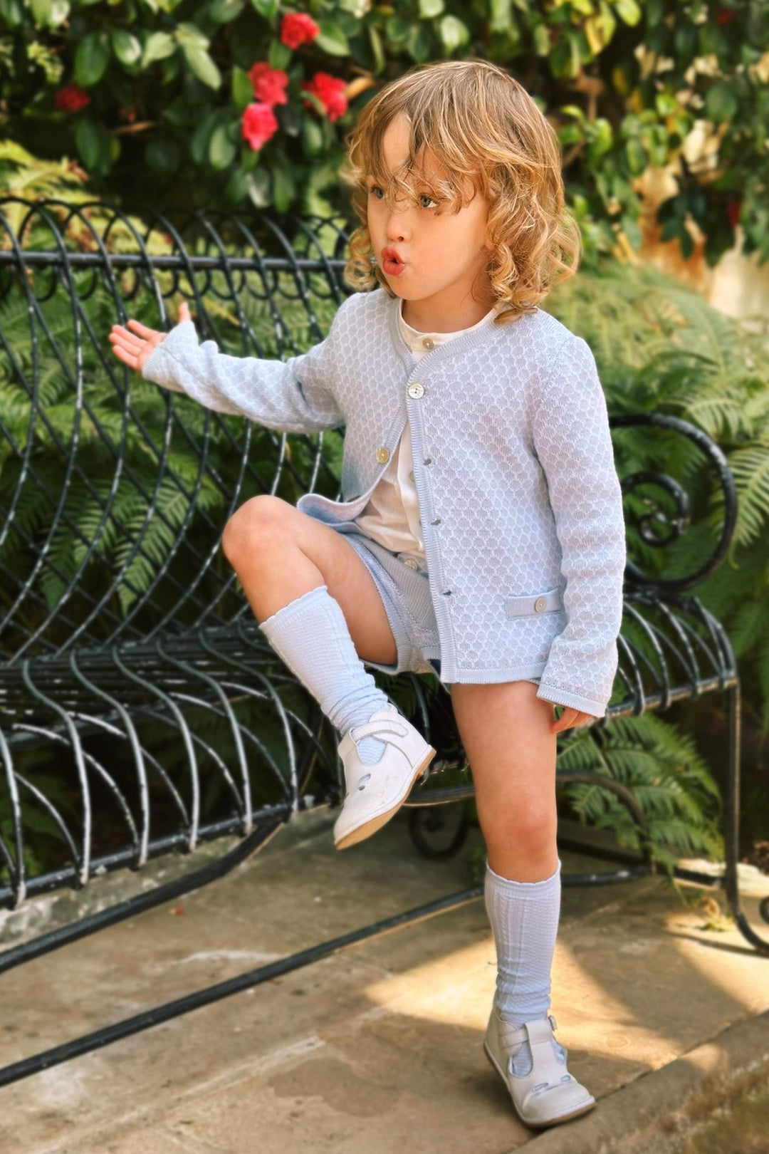 Rahigo "Theodore" Baby Blue Knit Cardigan, Shirt & Shorts | Millie and John