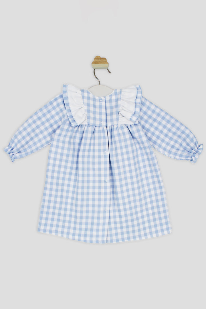 "Darcey" Pale Blue Gingham Dress