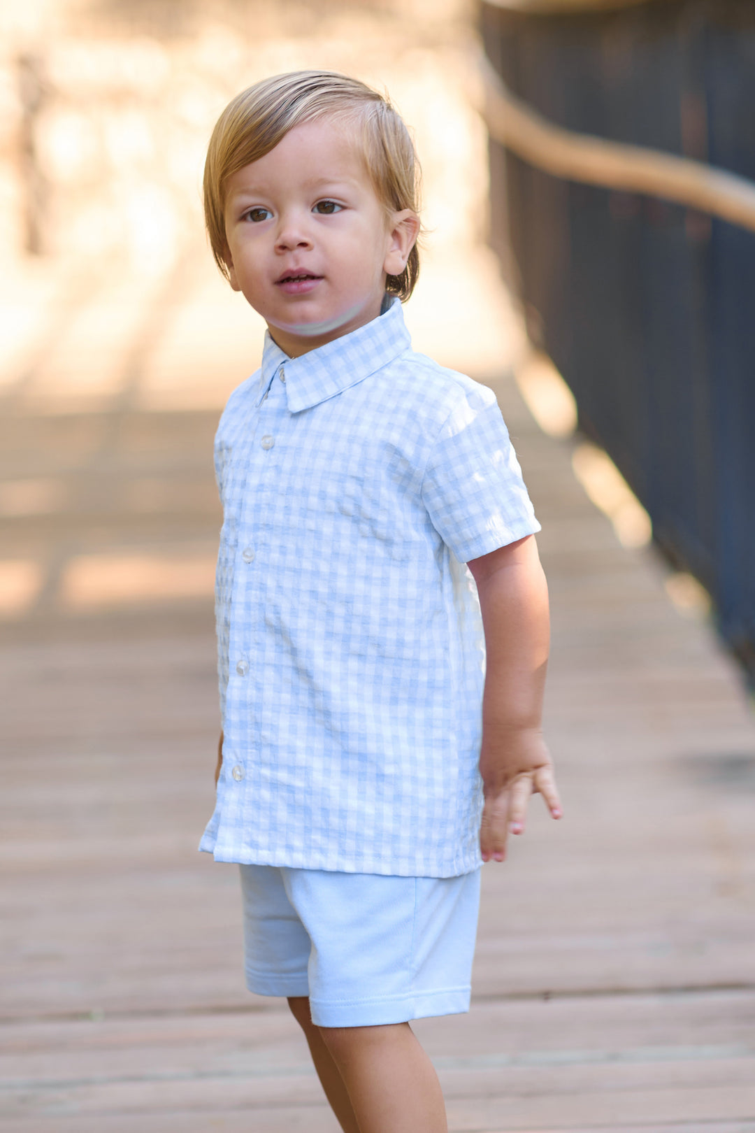 "Louie" Baby Blue Gingham Shirt & Shorts