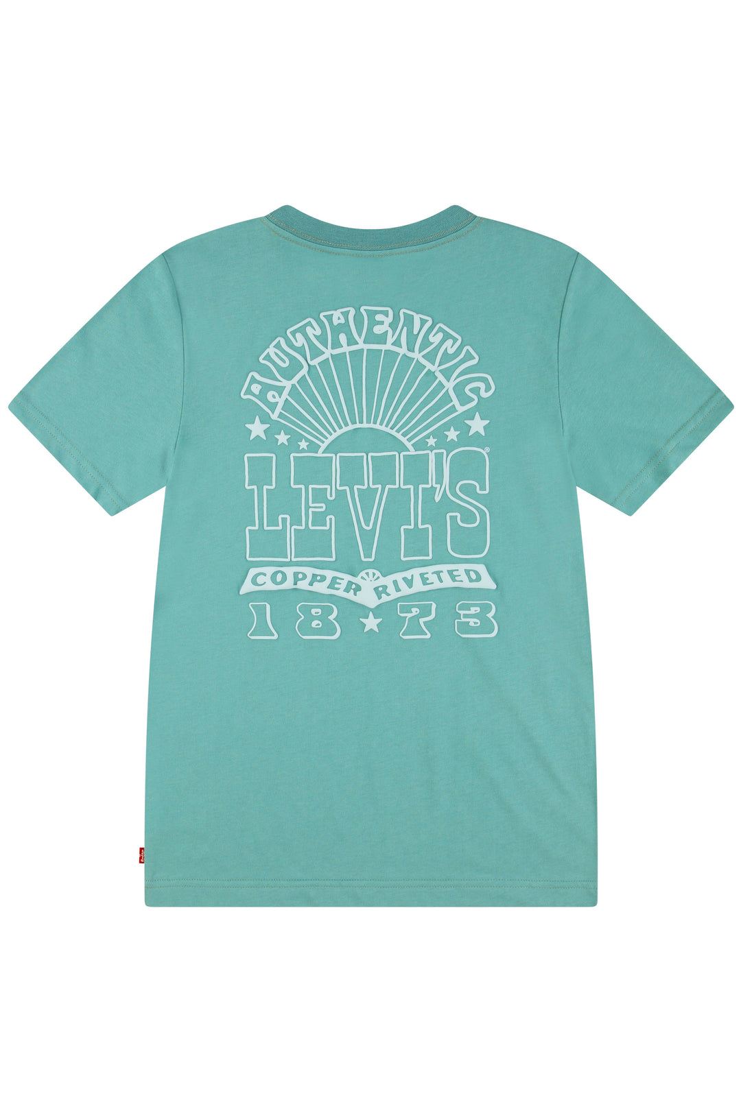 Teal Retro Back Print T-Shirt
