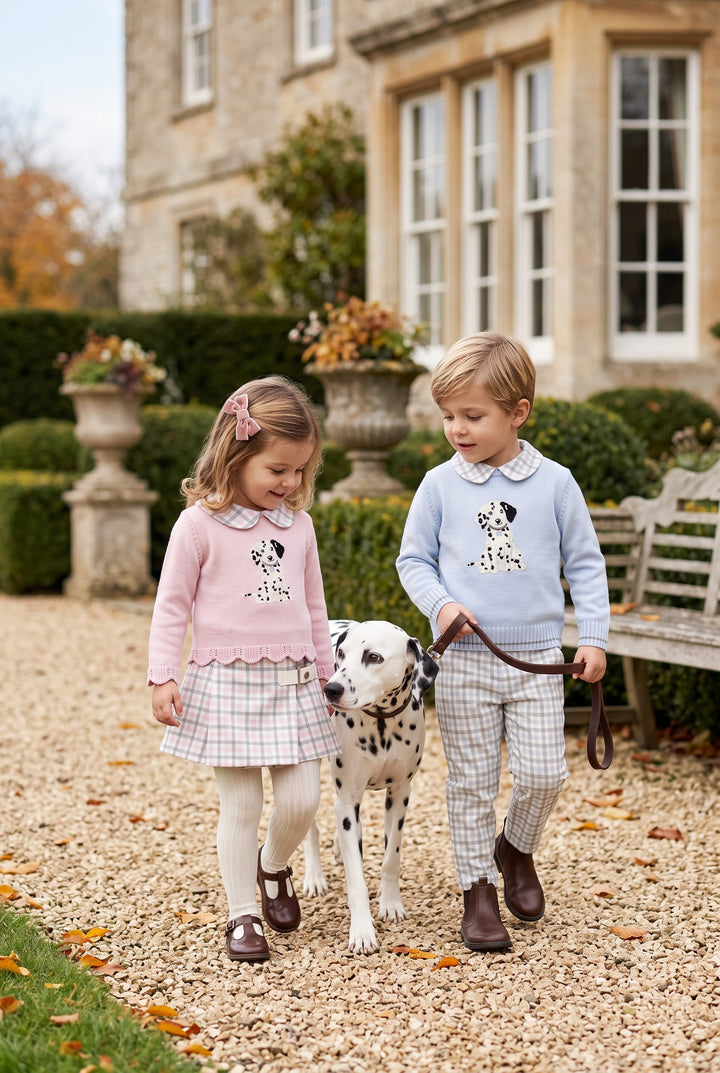 "Arthur" Blue &amp; Grey Check Dalmatian Jumper &amp; Trousers
