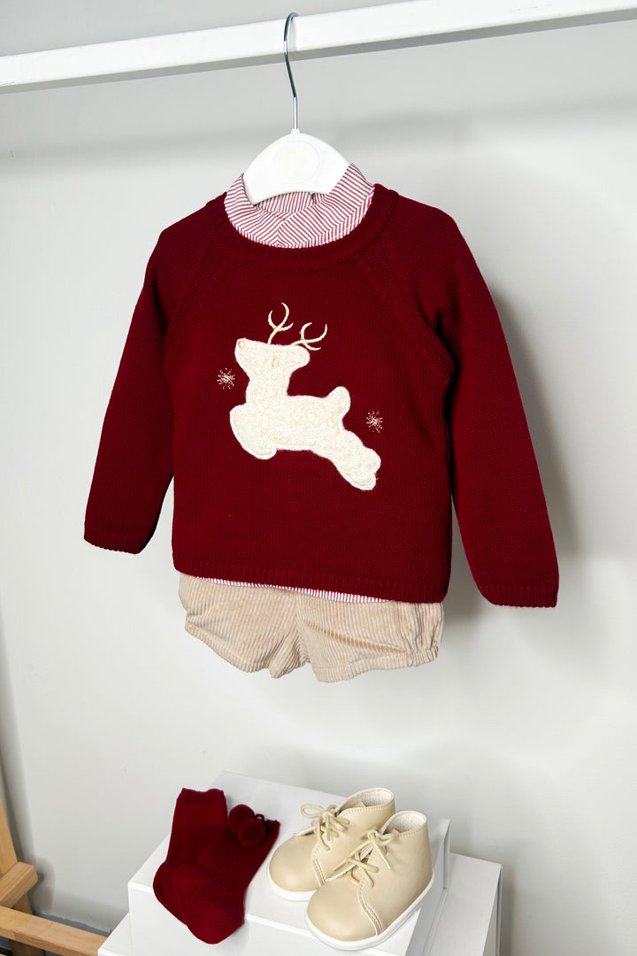 "Jenson" Burgundy Reindeer Jumper, Shirt & Shorts