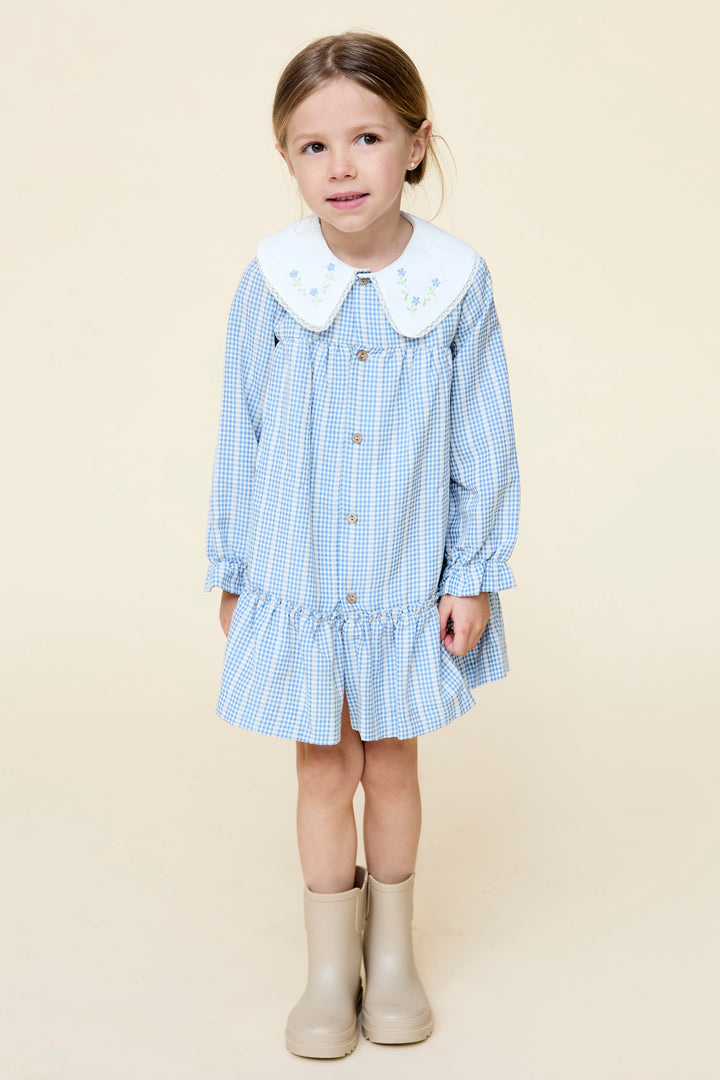 "Ada" Blue Check Embroidered Dress