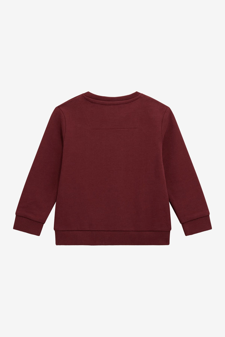 "Reggie" Burgundy Retro Bear Sweatshirt