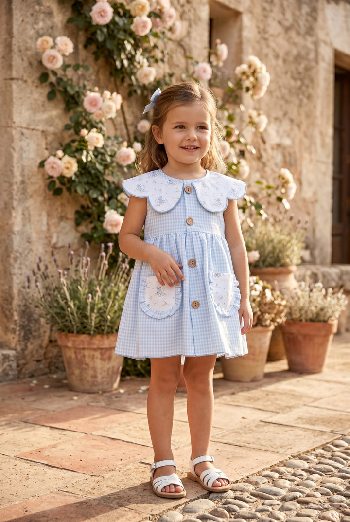 "Penelope" Blue Duck Dress &amp; Bloomers