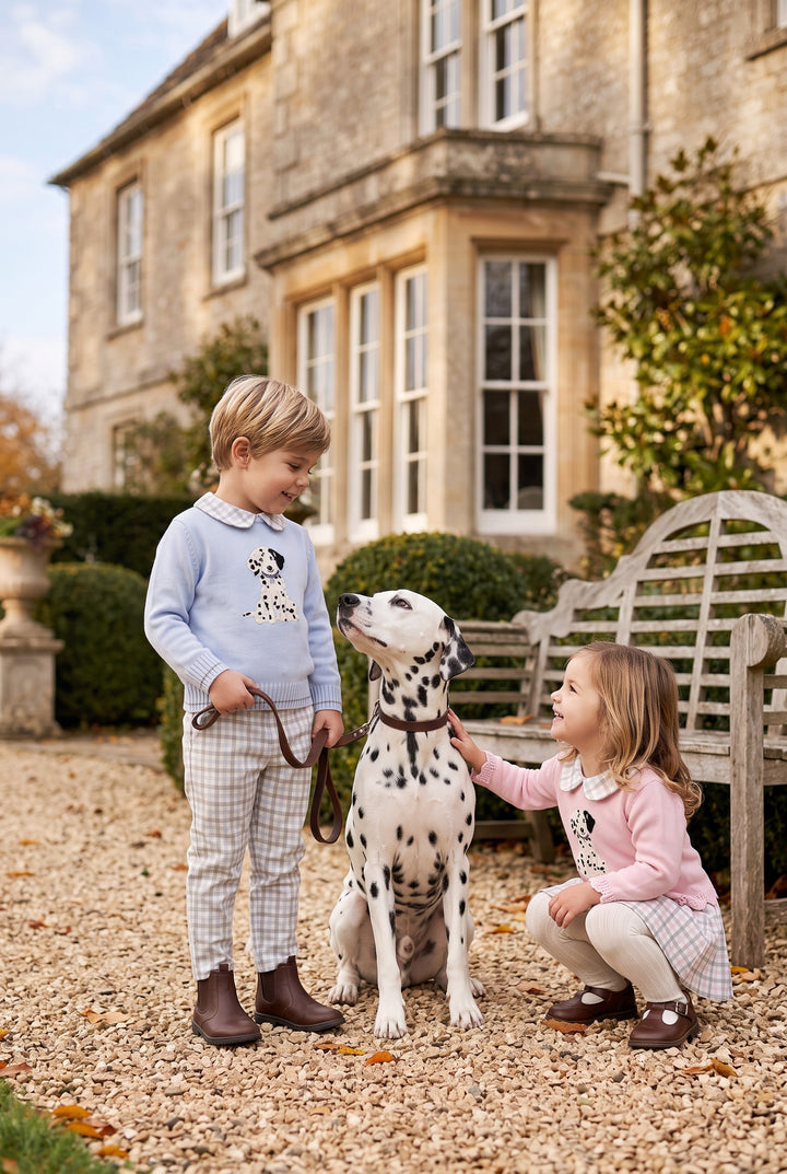"Arthur" Blue &amp; Grey Check Dalmatian Jumper &amp; Trousers