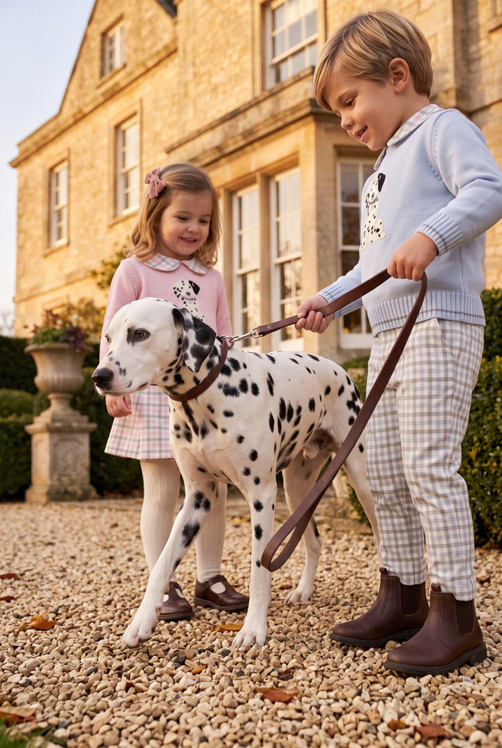 Deolinda "Arthur" Blue &amp; Grey Check Dalmatian Jumper &amp; Trousers - Millie and John