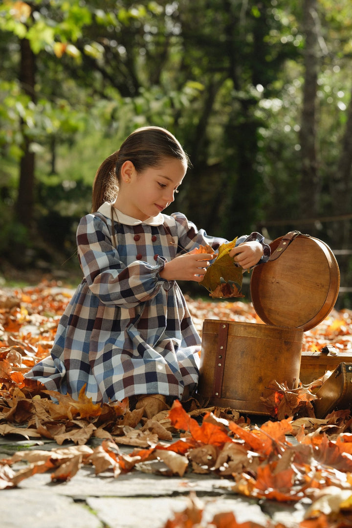 Deolinda "Rosalind" Blue & Brown Heritage Check Dress - Millie and John