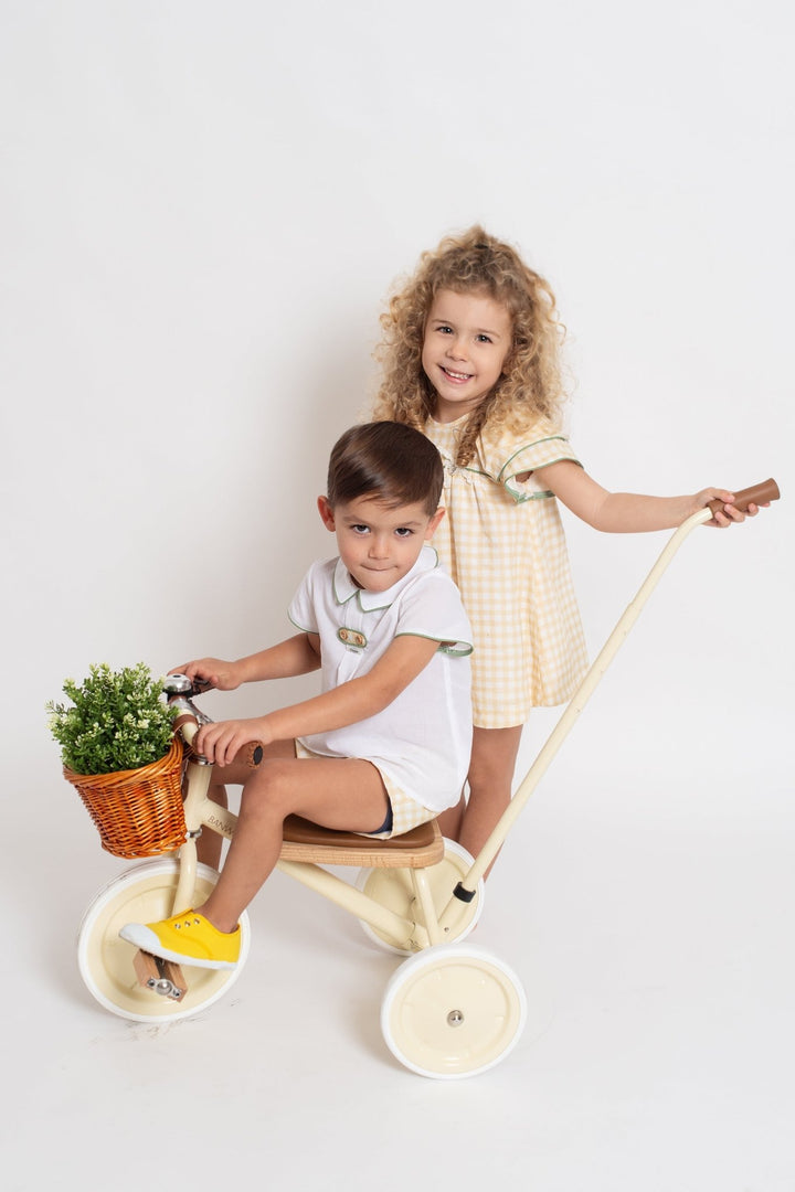 Foque "Hera" Lemon Gingham Dress - Millie and John