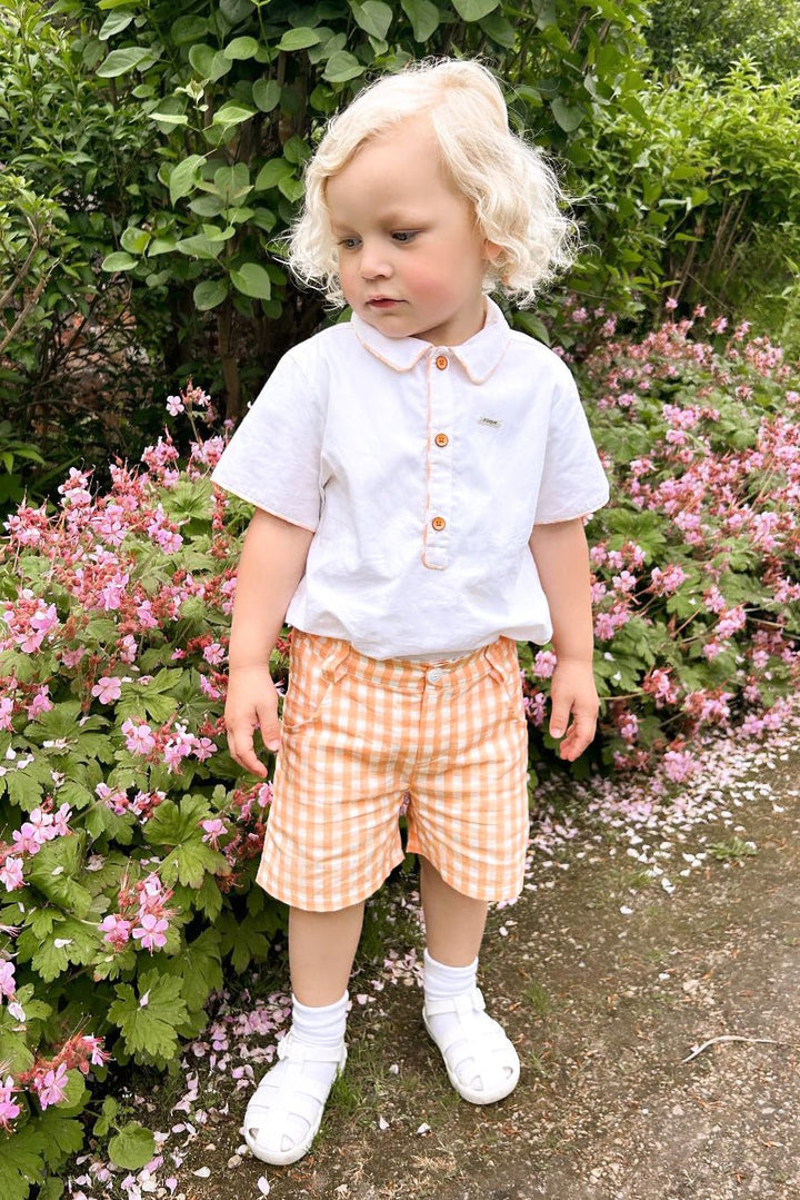 Foque "Lorencio" Peach Gingham Shirt & Shorts - Millie and John