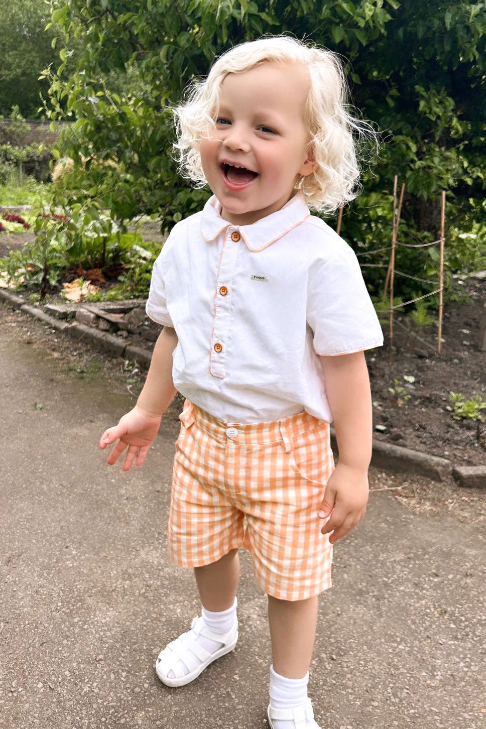 Foque "Lorencio" Peach Gingham Shirt & Shorts - Millie and John