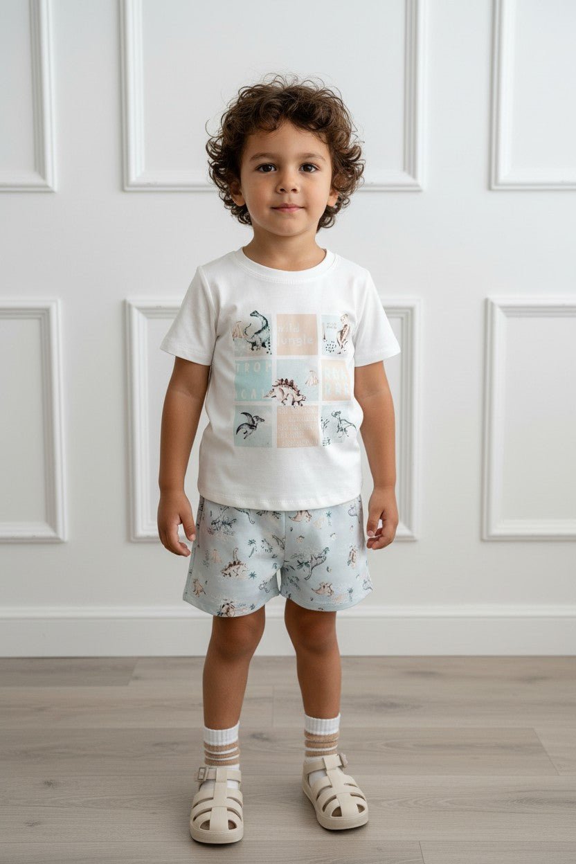 Jamiks "Johannes" Ivory & Blue Dinosaur T-Shirt & Shorts - Millie and John