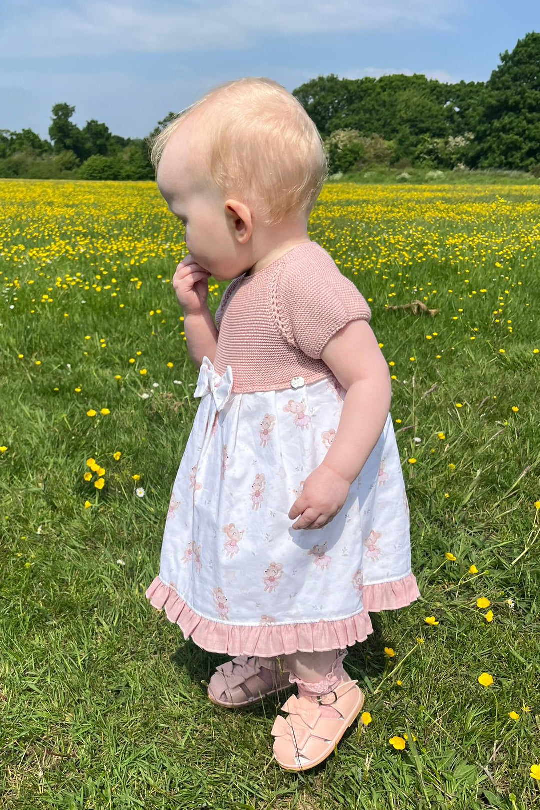 Juliana "Lucille" Dusky Pink Ballerina Mouse Half Knit Dress - Millie and John