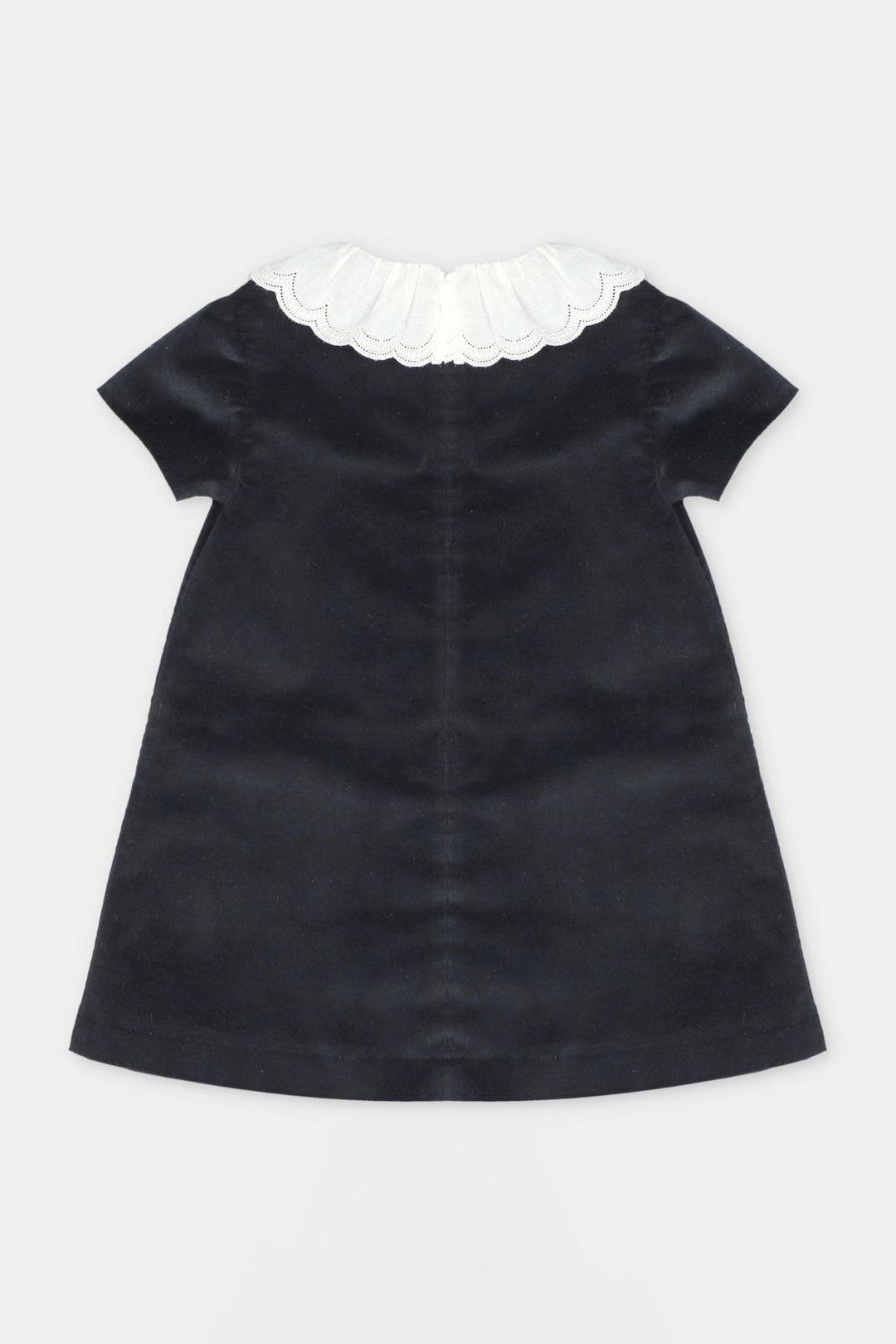 Martín Aranda “Cecily” Black Velvet Ruffle Collar Dress - Millie and John