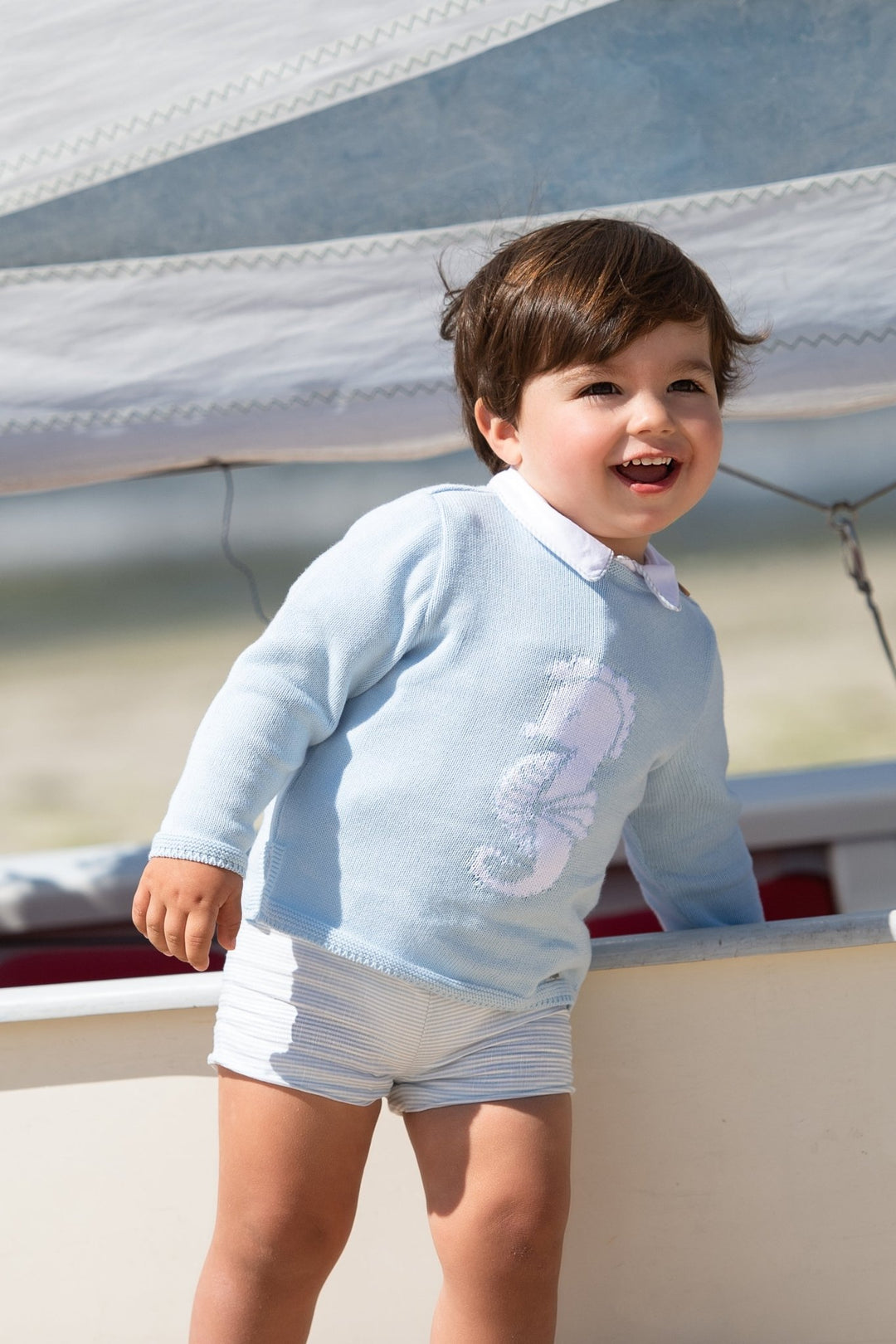 Foque "Beau" Blue Knit Seahorse Jumper, Shirt & Shorts - Millie and John