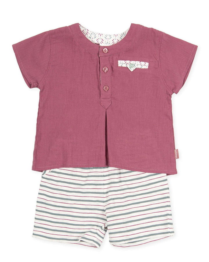 Tutto Piccolo "Zephyr" Plum Cheesecloth T-Shirt & Striped Shorts - Millie and John